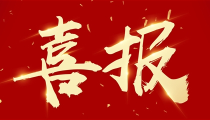 喜訊┃集團(tuán)黨委書記、董事長向誠榮獲市委表彰